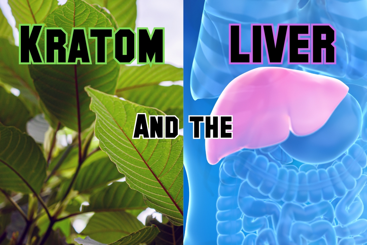 Kratom Toxicity in the liver